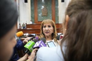 Sesión Pública Ordinaria del Martes 8 de Abril de 2025